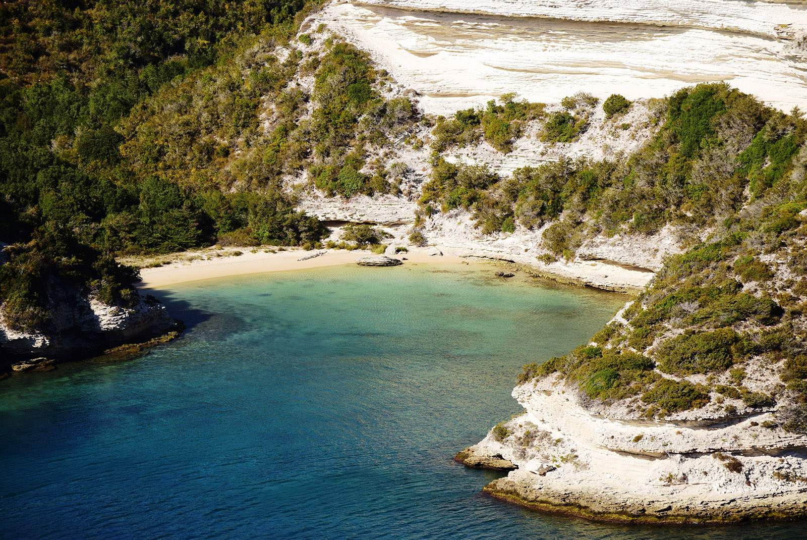 Thinking of visiting Sardenga or Corsica?