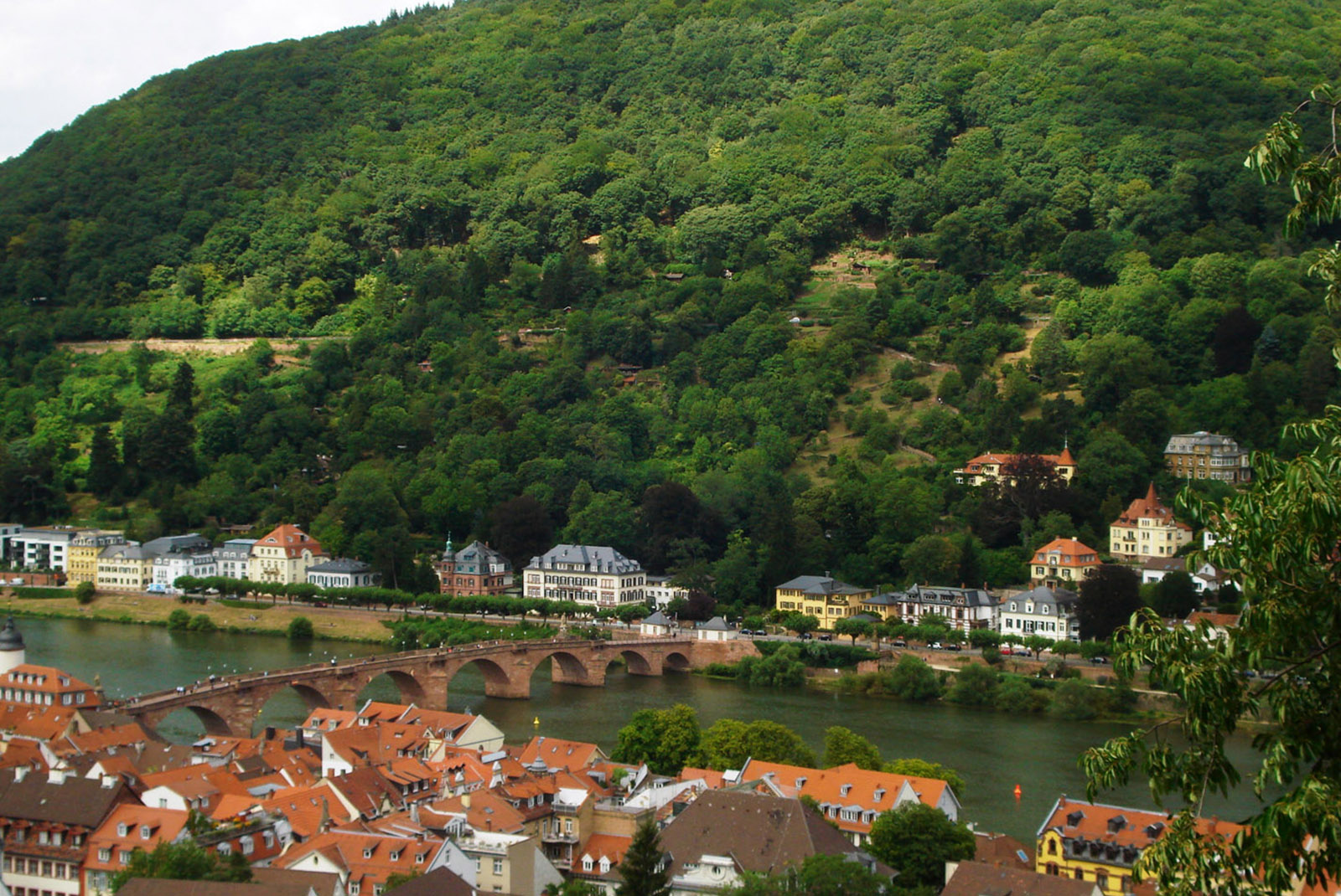 ‘Visiting Heidelberg should be a must…’
